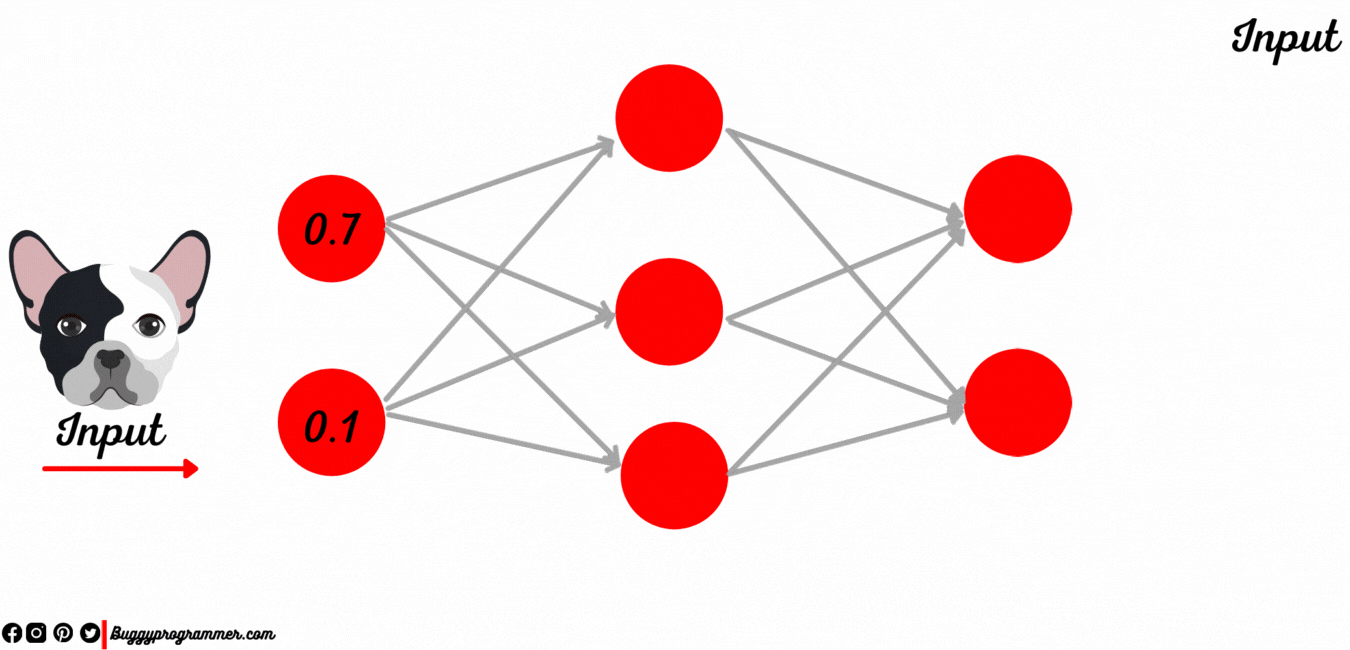 what is neural networks weight